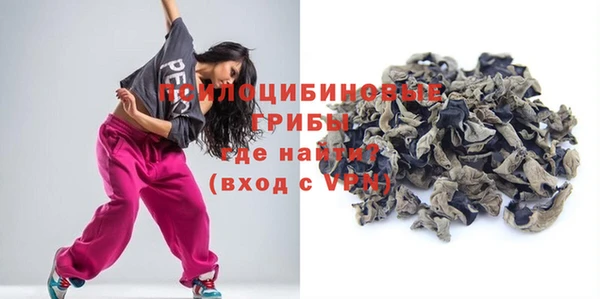 дживик Бородино