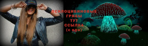 дурь Бронницы