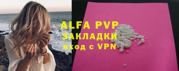 дживик Бородино
