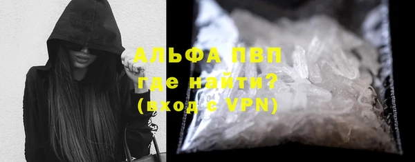 дживик Бородино