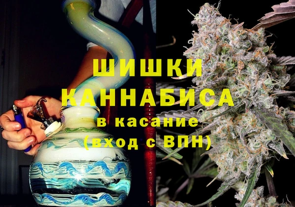 дурь Бронницы
