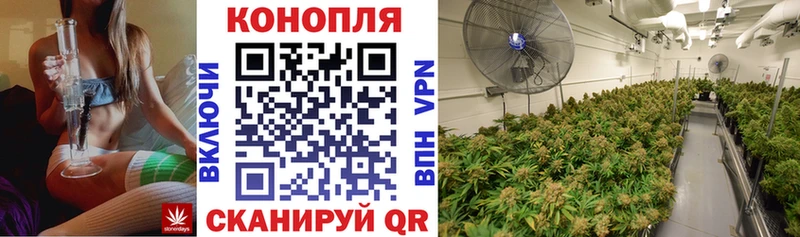 Бошки Шишки тримм Ялуторовск